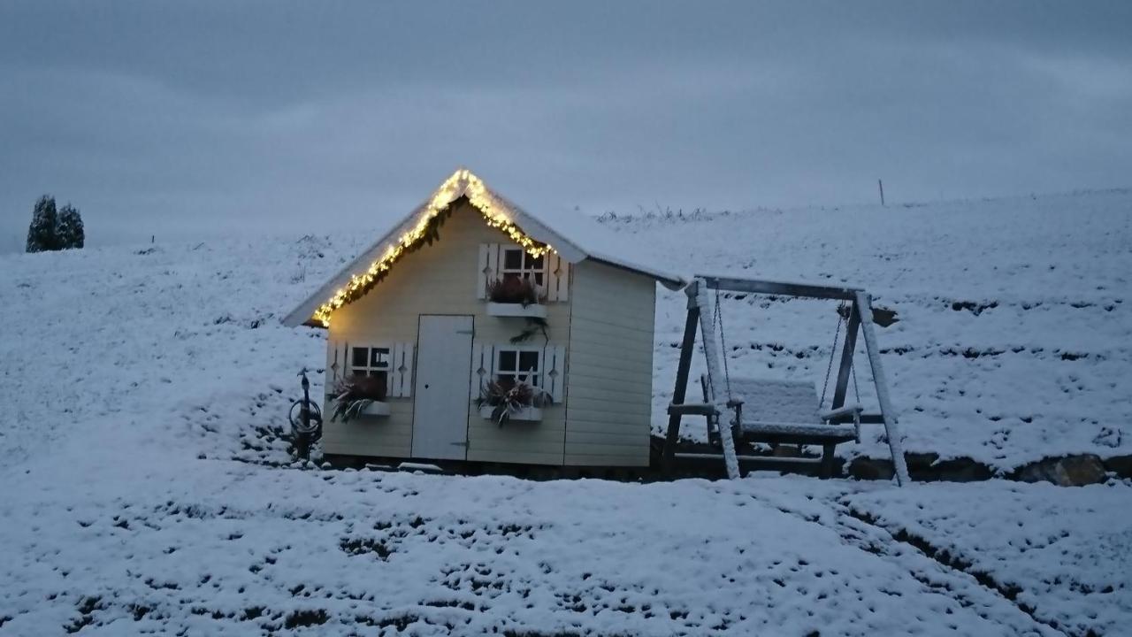 Kuhnest Lägenhet Scheidegg Exteriör bild
